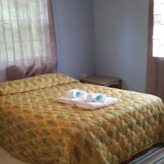 Buttercup Cottage Apartments in Bequia, St. Vincent and the Grenadines from 96$, photos, reviews - zenhotels.com photo 31