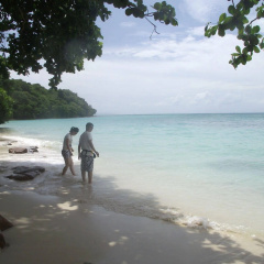 Phi Phi Natural Resort - Bild 21