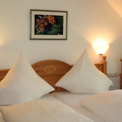 Hieronimi - Bild 6