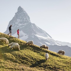 Chalet Zermatt Peak - Bild 15