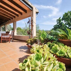 Modern Mansion in Selva With Private Pool - Bild 13