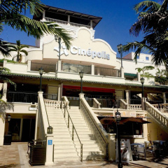 Pelicanstay in Coconut Grove Miami - Bild 1