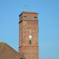 Borkumperle - Bild 1