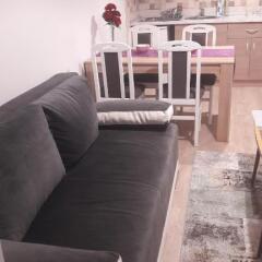 Apartmani V&F in Vrnjacka Banja, Serbia from 81$, photos, reviews - zenhotels.com photo 11