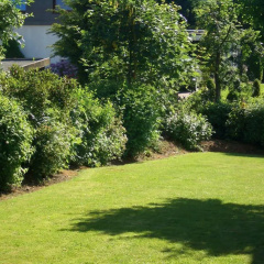 Ohrberg - Bild 8