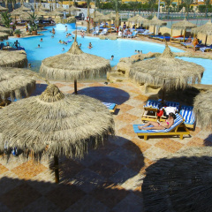 Pickalbatros Dana Beach Resort - Hurghada - Bild 23