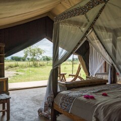 Africa Safari Serengeti Ikoma in Serengeti National Park, Tanzania from 200$, photos, reviews - zenhotels.com photo 14