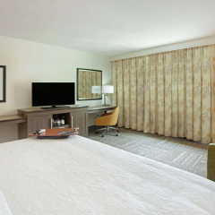 Hampton Inn & Suites Minneapolis / Downtown thumbnail 4