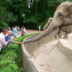 Park-Hotel Hagenbeck - Bild 20