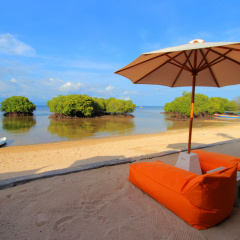 Mangrove Paradise Retreat - Bild 15