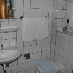 Mainzer Schoppenstecher - Bild 6