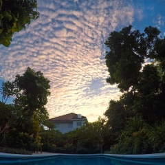 Timbis Homestay Bali - Bild 17