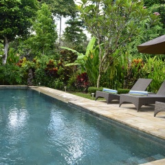 Villa Bindi - Bild 2