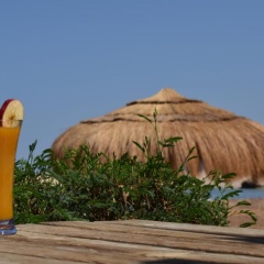 Sharm El Naga Resort and Diving Center - Bild 18