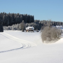 Gasthaus Schweizerhof - Bild 5