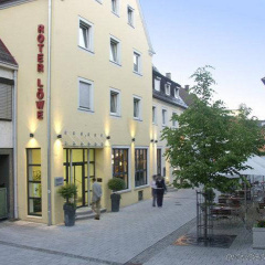 Akzent Roter Löwe - Bild 1