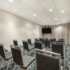 Hampton Inn & Suites Dallas/Plano-East thumbnail 28