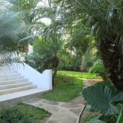 Swahili House thumbnail 18