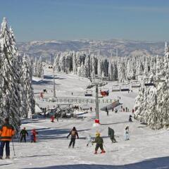 Apartment G6 in Kopaonik, Serbia from 52$, photos, reviews - zenhotels.com photo 18