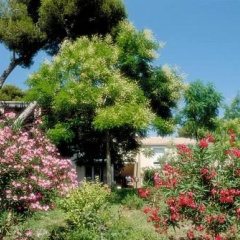 Marin'Alpes thumbnail 5