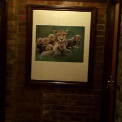 The Richmond Hotel thumbnail 21