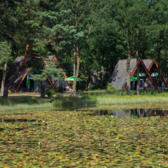 Holiday Home in Stramproy Near Nature Reserves thumbnail 22
