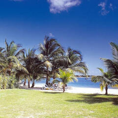 Le Flamboyant Hotel and Resort in Sandy Ground, St. Martin from 157$, photos, reviews - zenhotels.com photo 5