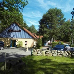 Heideperle - Bild 3