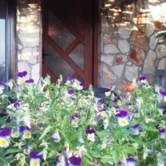 Guesthouse Sea View thumbnail 2