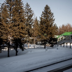 Гостиница Сосновый Бор (Зудилово) в Озерках отзывы, цены и фото номеров - забронировать гостиницу Сосновый Бор (Зудилово) онлайн Озерки фото 26