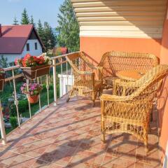 Apartments Dedeic in Zabljak, Montenegro from 74$, photos, reviews - zenhotels.com photo 28