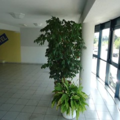Sleep & Go Hotel Magdeburg - Bild 1