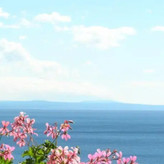 Guest House Lifestyle Holiday thumbnail 9