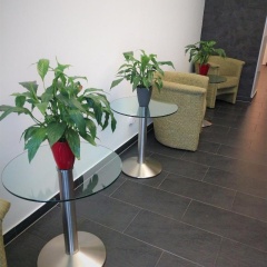 eXo Boutique Hotel Mannheim - Bild 13