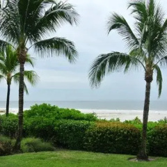 The Original Beachcomber Daily thumbnail 12