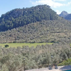 Finca Biniforani Nou - Bild 6