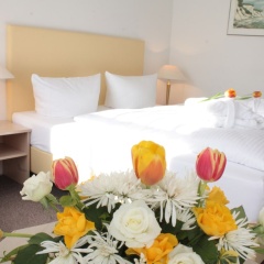 Lindenhotel Stralsund - Bild 5