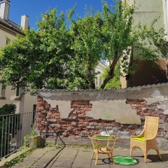 Apartment im Luisenviertel - Grün - Bild 11