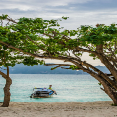 Paradise Resort PHI PHI - Bild 18