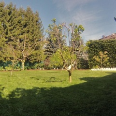 Hotel Wahlster - Bild 10