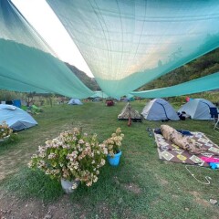 Akarsu Camping 2 in Bartin, Turkiye from 154$, photos, reviews - zenhotels.com photo 10