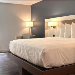 Super 8 By Wyndham Tallapoosa thumbnail 19