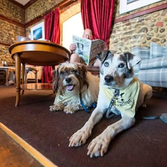 The Red Lion Hotel thumbnail 11