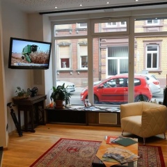 Pieper - Bild 4