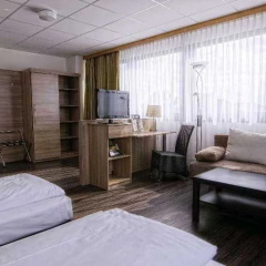 Center Hotel Main Franken Bamberg - Bild 7