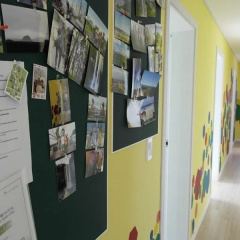 Blue Pony Guesthouse thumbnail 12
