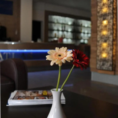 Hotel Atlas Halle - Bild 14