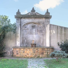 Occidental Aurelia - Bild 21