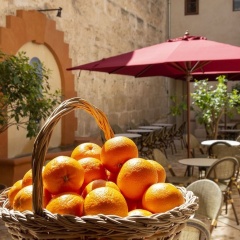Hotel Can Cirera - Bild 11
