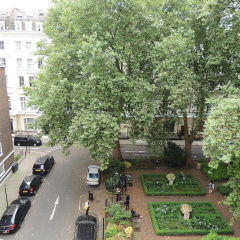 Dolphin Inn - Bild 15